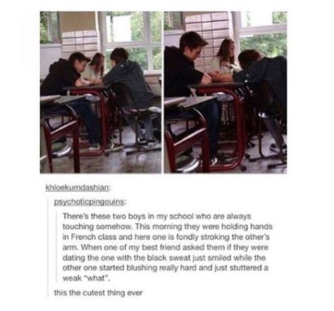 Pin By Haley Pinette On AW Tumblr Funny Cute Stories Cute Gay