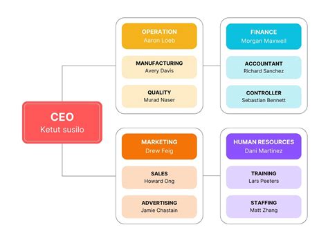 Organizational Structure Definition Importance Types Hrm 51 Off