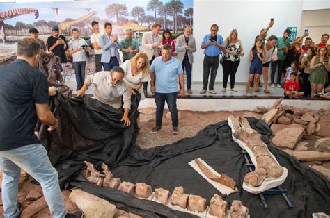 Una Nueva Especie De Dinosaurio Exhibida En Villa El Choc N Neuqu N