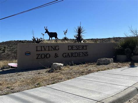 Touring the Living Desert Zoo & Gardens State Park | by Julia A. Keirns ...