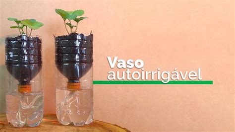 Vaso autoirrigável de garrafa PET YouTube