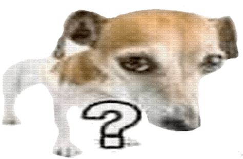 dog question mark, question , ask , dog , cute , huh , what - Free PNG ...