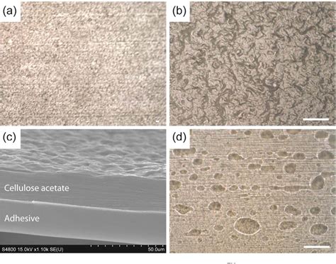 Figure 2 From Laser‐micromachined Cellulose Acetate Adhesive Tape As A