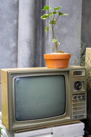 Retro R Hrenfernseher Mit Zimmerpflanzen Als Dekoration In Einem Cafe