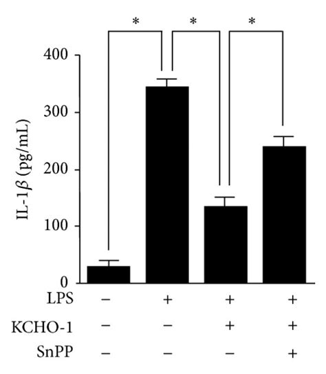 HO 1 Mediates The Suppressive Effect Of KCHO 1 On LPS Stimulated