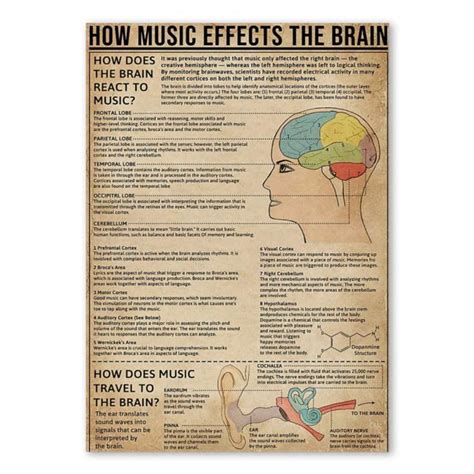 A Poster With The Words How Music Effects The Brain