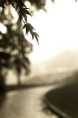 The Color Of Fall Capilano Lake North Vancouver Agfa Apx Flickr