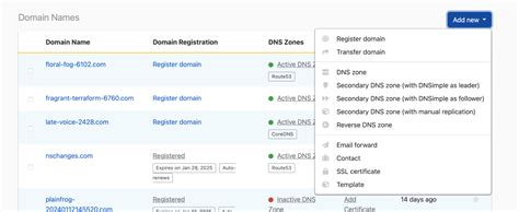 Set Up Your First Zone And Delegate Zones To DNSimple DNSimple Help