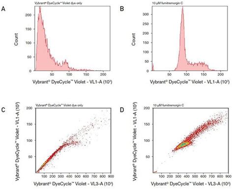 Cell Cycle Analysis By Flow Cytometry Thermo Fisher Scientific In