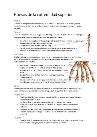 Apuntes Extremidad Superior Pdf