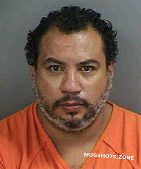 Guadalupe Alfonso Collier County Mugshots Zone