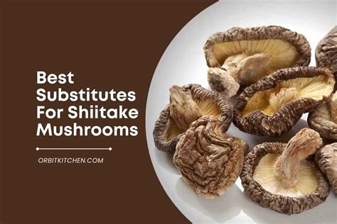 Best Substitutes For Shiitake Mushrooms