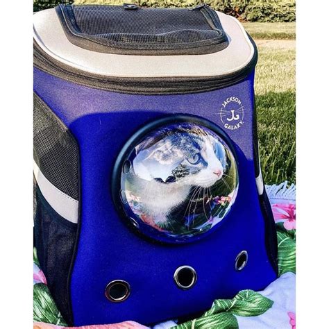 The Jackson Galaxy Convertible Cat Backpack Carrier – Your Cat Backpack ...