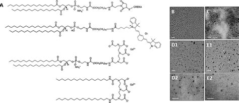 Molecular Structure Of A DSPE PEG2000 CREKA Top DSPE PEG2000 Cy7