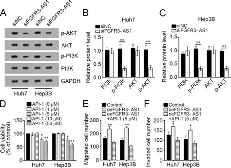 Fgfr As Knockdown Suppresses Pi K Akt Pathway In Hcc A C Knockdown