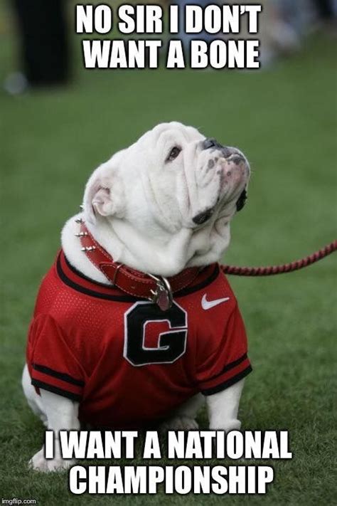 Funny Georgia Bulldog Quotes - ShortQuotes.cc