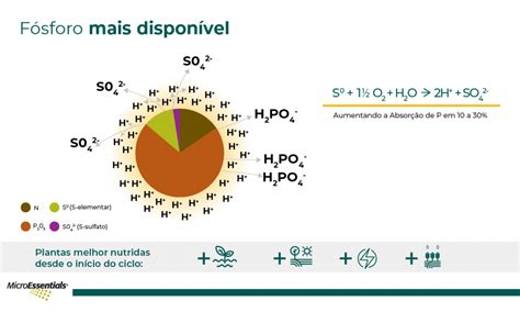 Ciclo do fósforo e a sua importância na agricultura