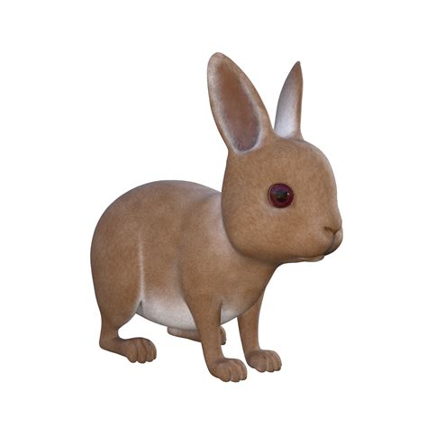 Cute Rabbit D Model Illustration Png