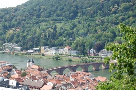 Bürstadt Fotos Besondere Bürstadt Hessen Bilder Tripadvisor