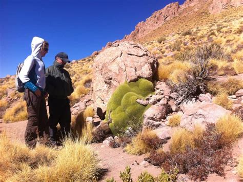 Hike The Atacama Desert Archives Adventure Travel Chile Bike Tours