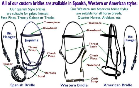 Our Bridle Style Chart, showing the difference of Gaited Spanish ...