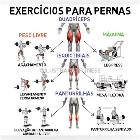 Treino Efetivo Para Pernas Com Exercícios De Pesos Livres E Seu