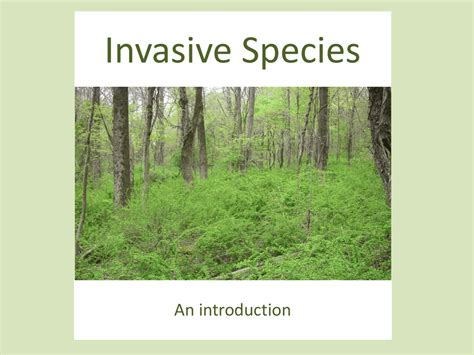 Invasive Species PowerPoint Presentation