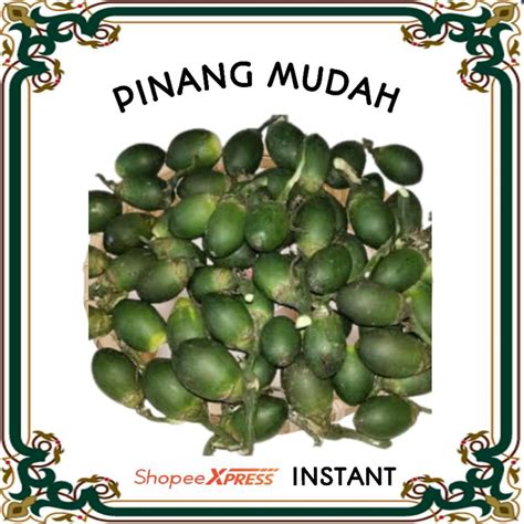 Jual BUAH PINANG HIJAU SEGAR JAMBE 10 PCS Shopee Indonesia