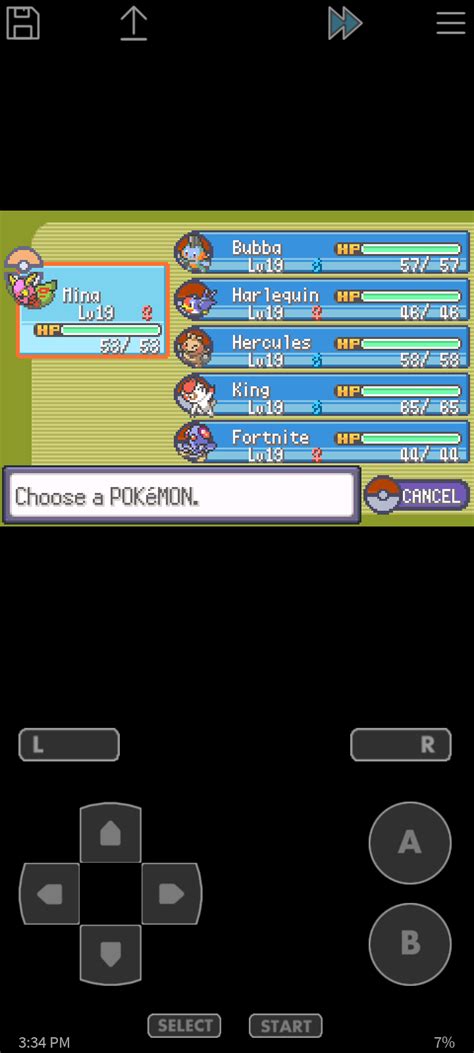 Time For Brawly In My Hardcore Nuzlocke Of Emerald R Nuzlocke