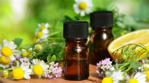 Therapeutic Grade Essential Oils Are They Better