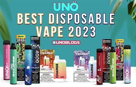 Best Disposable Vape 2023 - Vape UNO