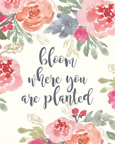 Bloom Where You Are Planted Artofit