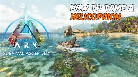 How To Tame A Helicoprion In ARK Survival Ascended Ark Helicoprion