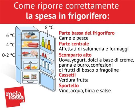 I Consigli Su Come Ordinare Il Frigo Per Conservare Gli Alimenti