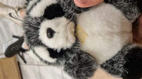 Ich Mit Meinen Nike Air Force Und Meinem Waschbaeren Nude Pics Xhamster