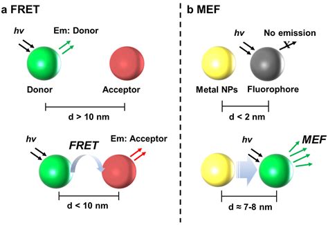 Biomedicines Free Full Text Nanomaterial Based Fluorescence