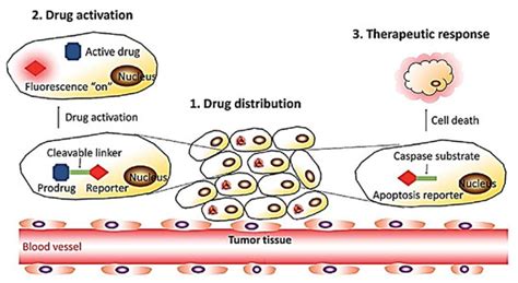 Molecules Free Full Text Recent Advances In Aggregation Induced Emission Active Materials