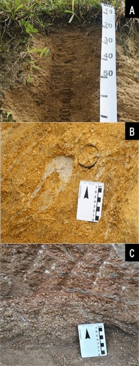 Weathering Profile: (A) Residual Soil; (B) Saprolite II; (C) Saprolite ...