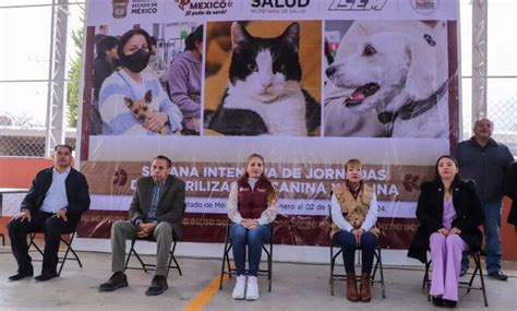 Se Inaugura La Semana De Jornadas De Esterilizaci N Canina Y Felina