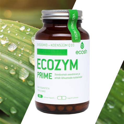 ЧТО ТАКОЕ ЭНЗИМЫ И К ЧЕМУ ВЕДЕТ ЕГО ОТСУТСТВИЕ? - Ecosh