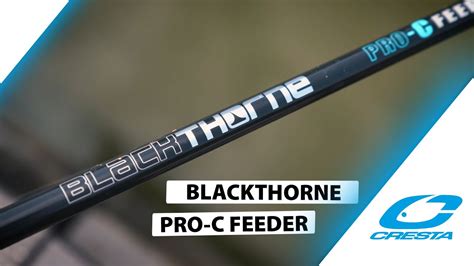 Blackthorne Pro C Feeder Pour La Pêche Au Method Feeder Youtube