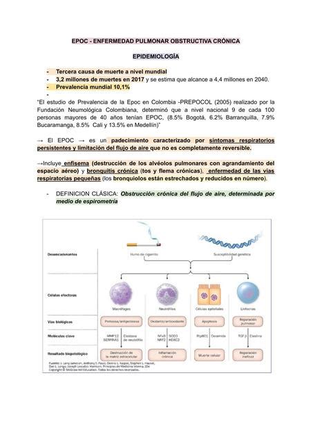 Enfermedad Pulmonar Obstructiva Cr Nica Shel Udocz