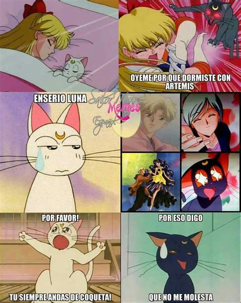 Sailor Moon Memes Terminada Meme De Sailor Moon Sailor Moon