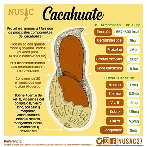 Conoce Tus Alimentos El Cacahuate Herbal Medicine Herbalism Health