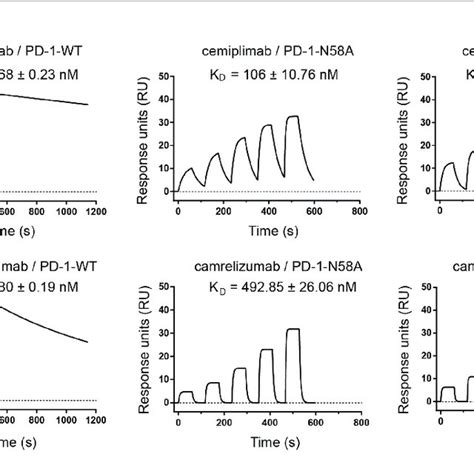 | The binding mechanism of cemiplimab to PD-1. (A) Overall structure of ...