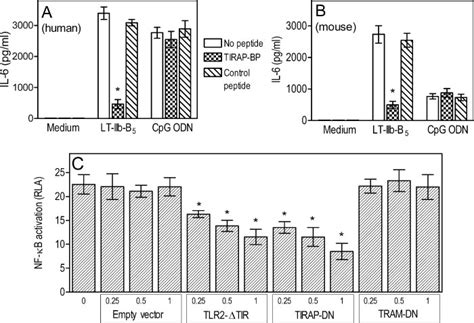 Lt Iib B Induced Cell Activation Is Tirap Dependent A And B Human