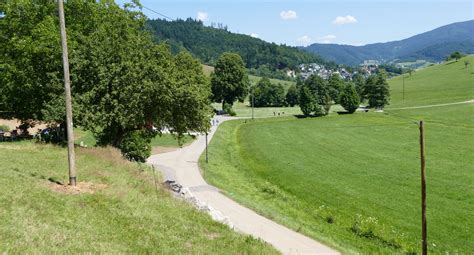 Teilnehmergemeinschaft Der Zusammenlegung Waldkirch Kollnau Kohlenbach