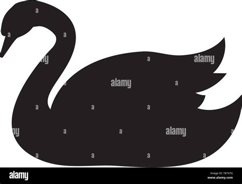 Cisne negro Imágenes vectoriales de stock Alamy