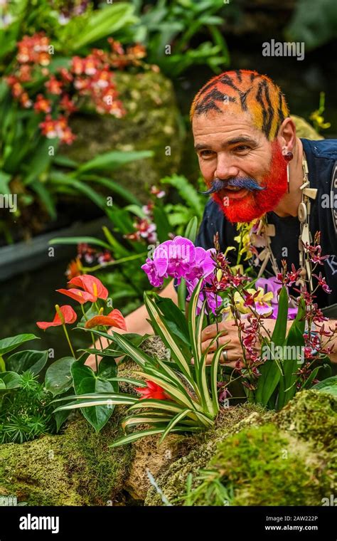 London Uk Th Feb Botanical Staff Make Final Adjustments To