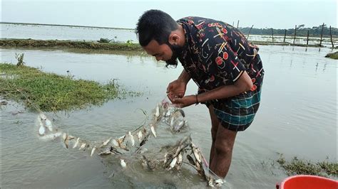 কারেন্ট জাল দিয়ে জোয়ারের পানিতে গুলশা টেংরা মাছ ধরাতে গিয়ে কি হলো